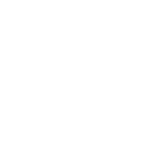 RSA%20logo%20white:grey 1